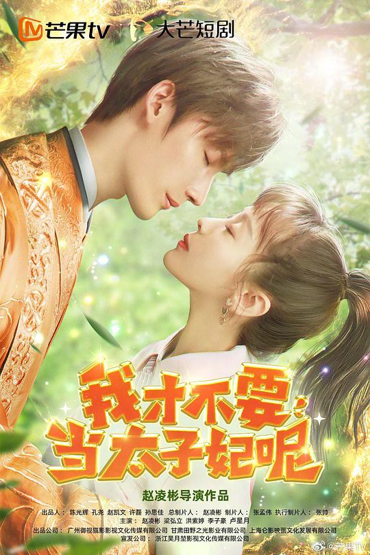 我才不要当太子妃呢 第02集