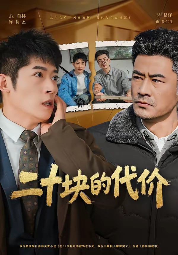 二十块的代价(全集)